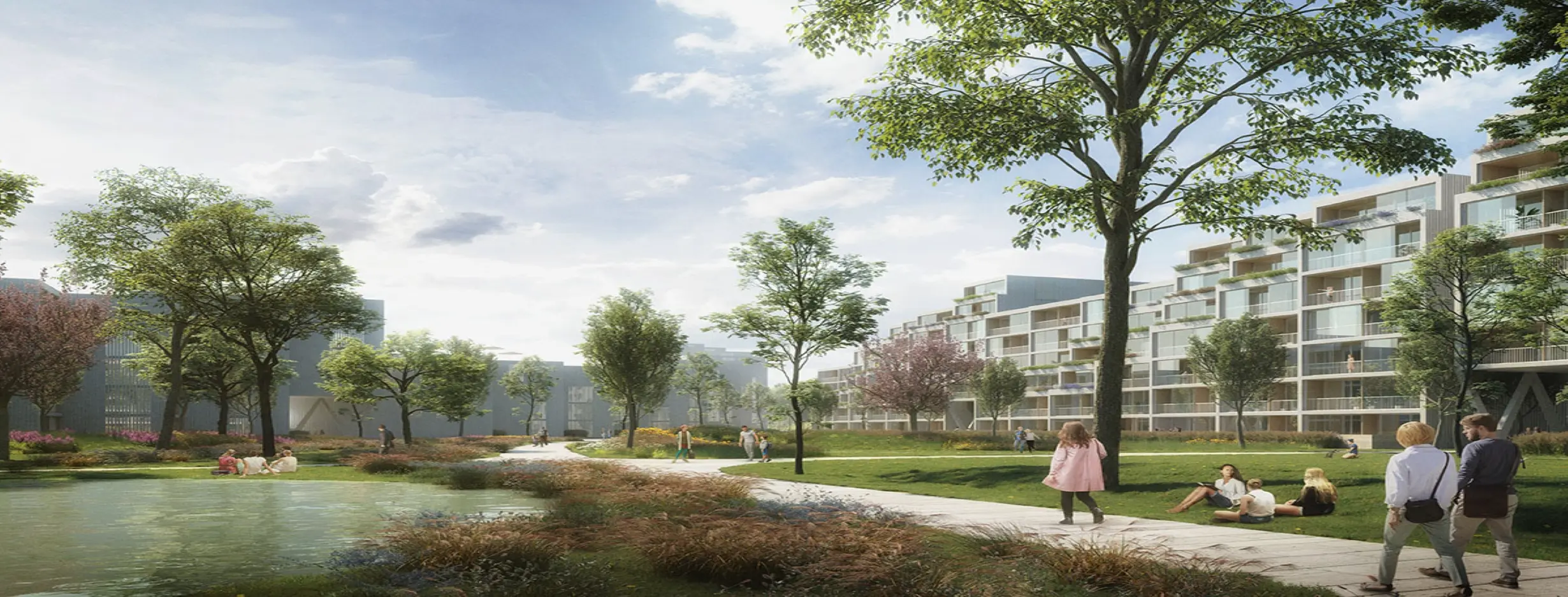 Image for Emerging Residential District